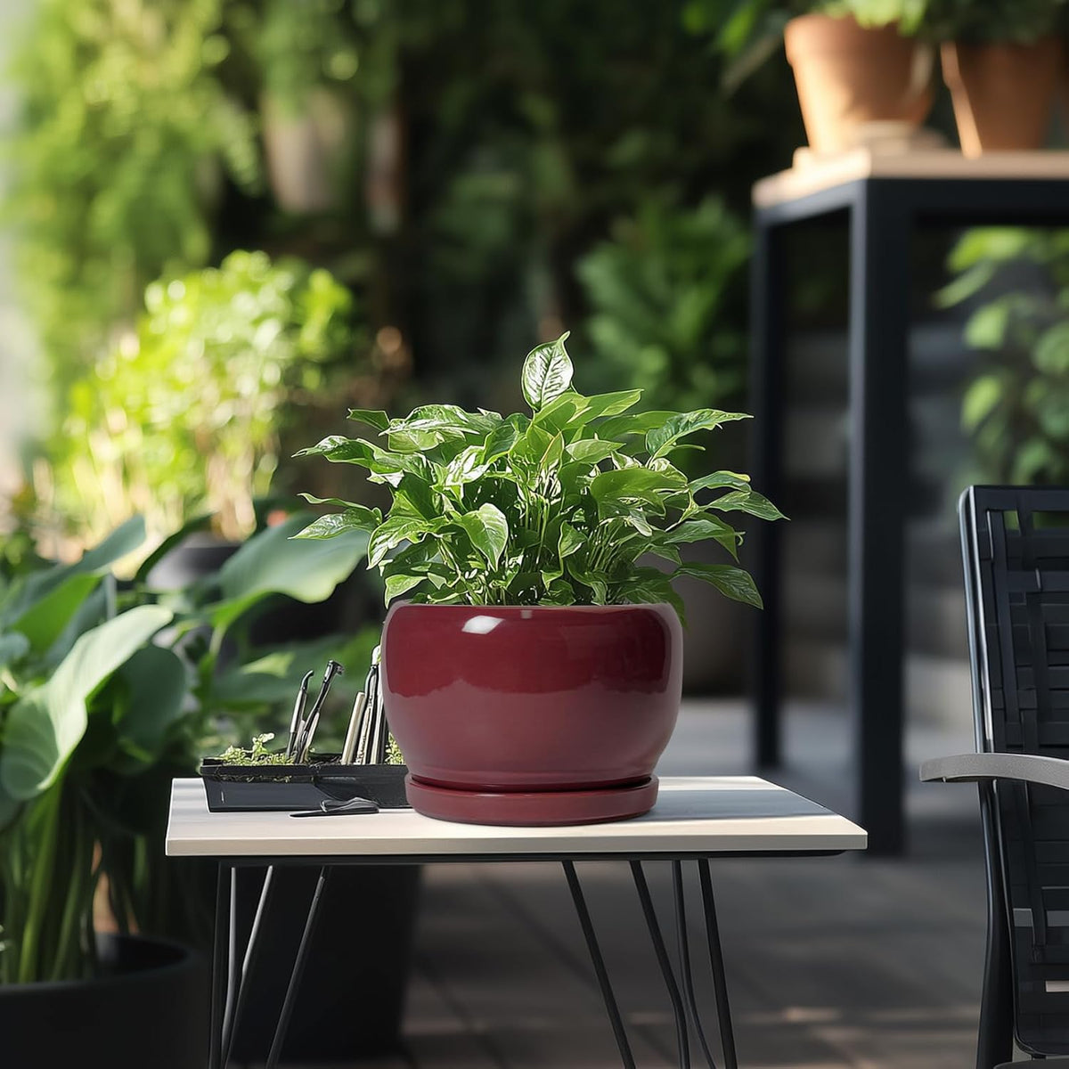 SQOWL Ceramic Planter - 8 Inch Plant Pot with Drainage Hole and Saucer, Round Planter for Indoor