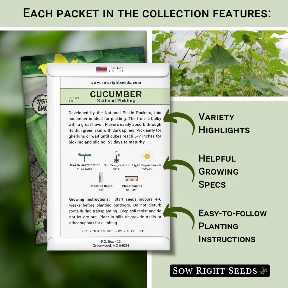 Sow Right Seeds - Classic Vegetable Garden Seed Collection for Planting - Non-GMO Heirloom