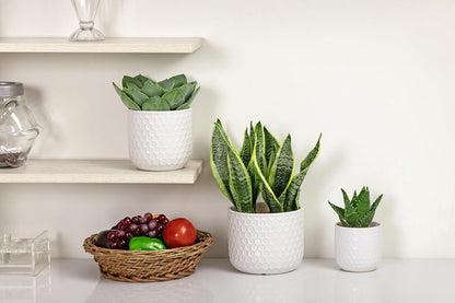 Docrin Plant Pots Indoor with Drainage: 6.4+5.3+4 Inch Ceramic Flower Pots for Plants - Set of 3