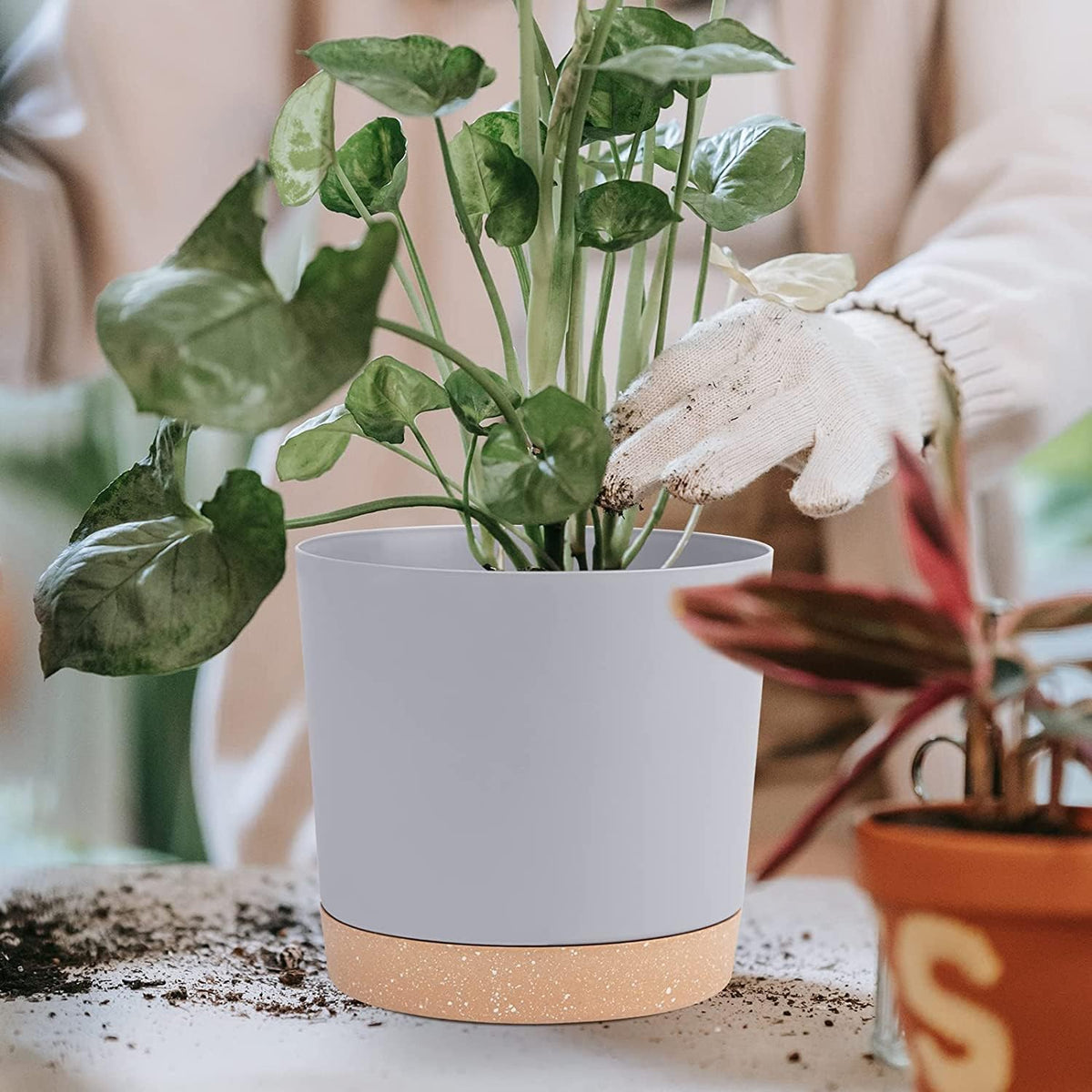 QCQHDU 10 inch Plant Pot, 2 Pack Planters for Indoor Plants with Drainage Holes & Saucer, Outdoor