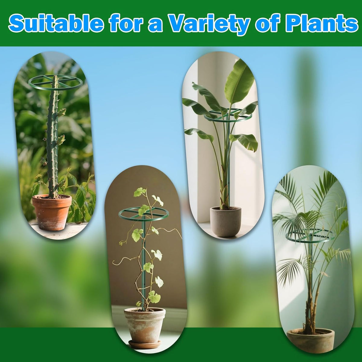 1 Pcs Adjustable Round Dragon Fruit Trellis,Durable Metal Plant Trellis Outdoor Climbing Plants