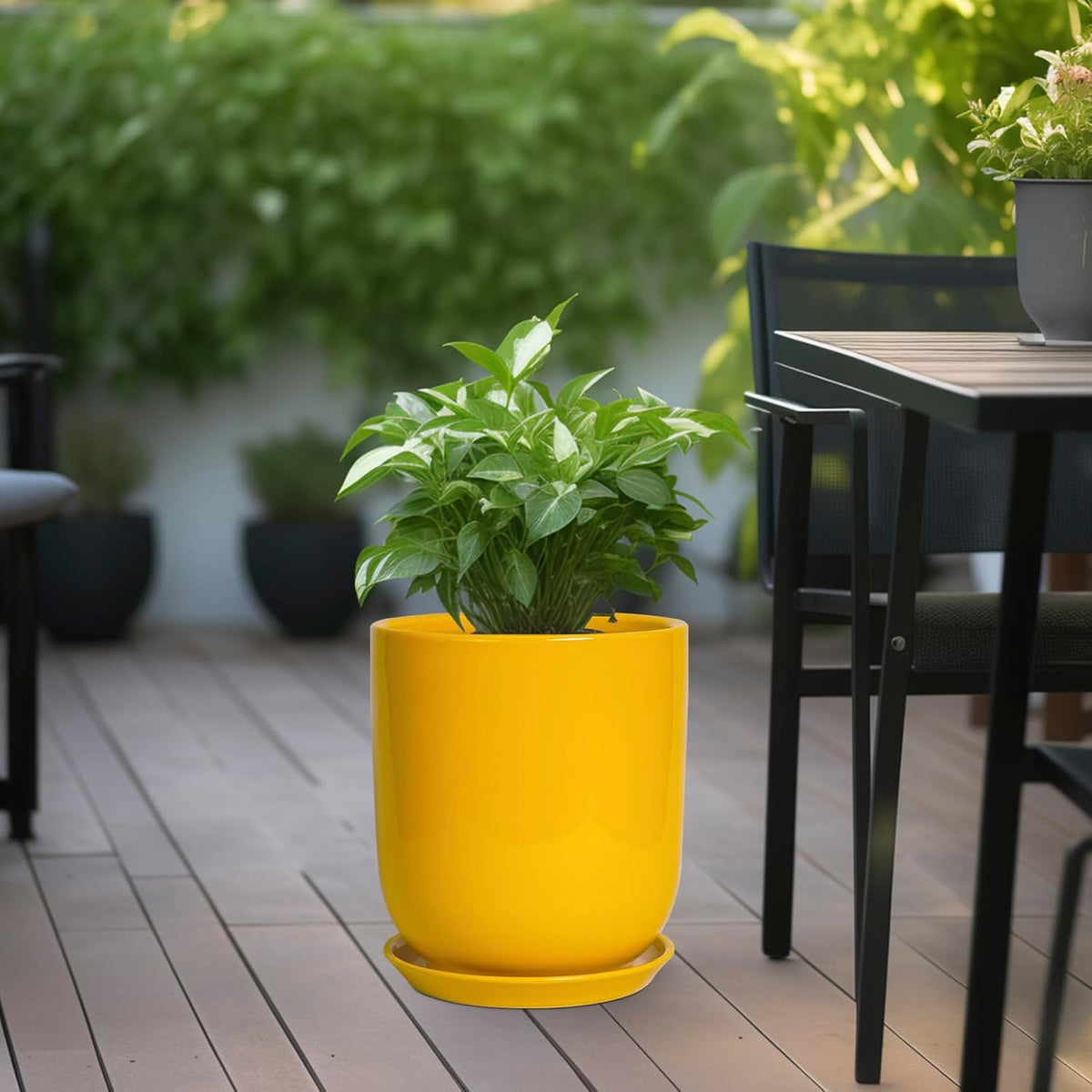 Ceramic Pot for Plants - 10 Inch Plant Pot Indoor with Drainage Hole and Saucer Large Planter for