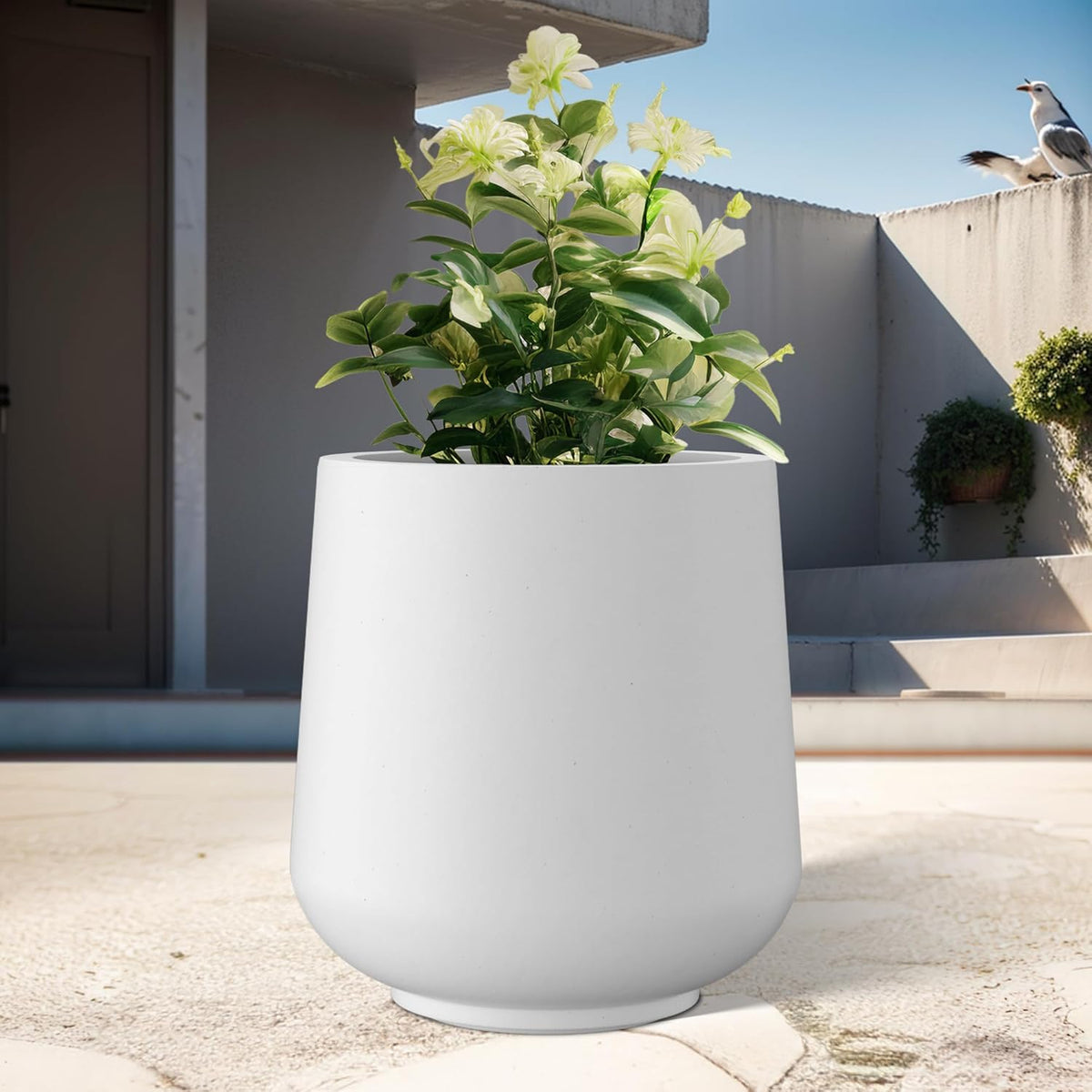 Kante 11.6" Dia Round Concrete Planter, Outdoor Indoor Large Plant Pots Containers with Drainage