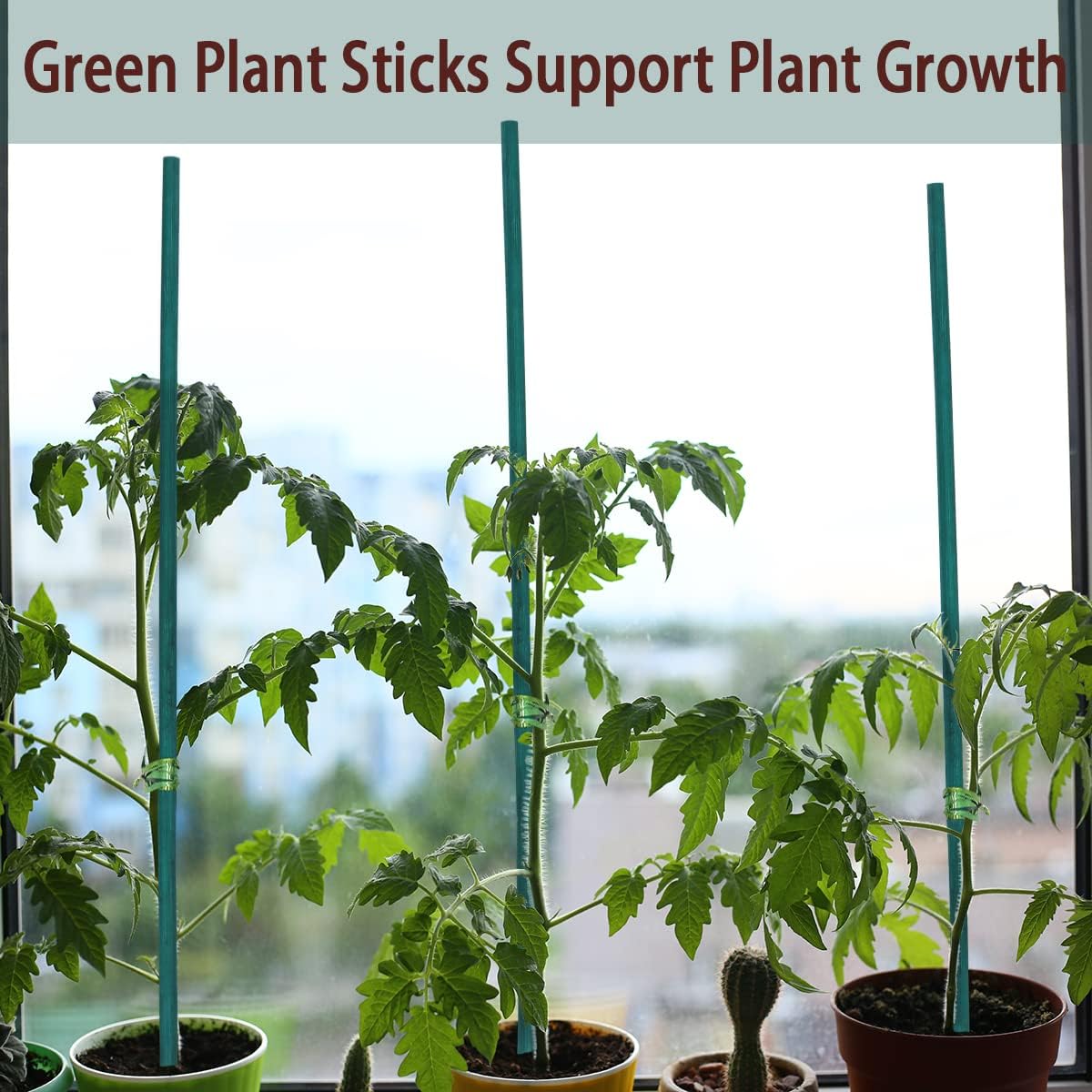 50 Pcs Plant Sticks Green Plant Stakes, Plant Support Garden Stakes for Indoor and Outdoor Plants