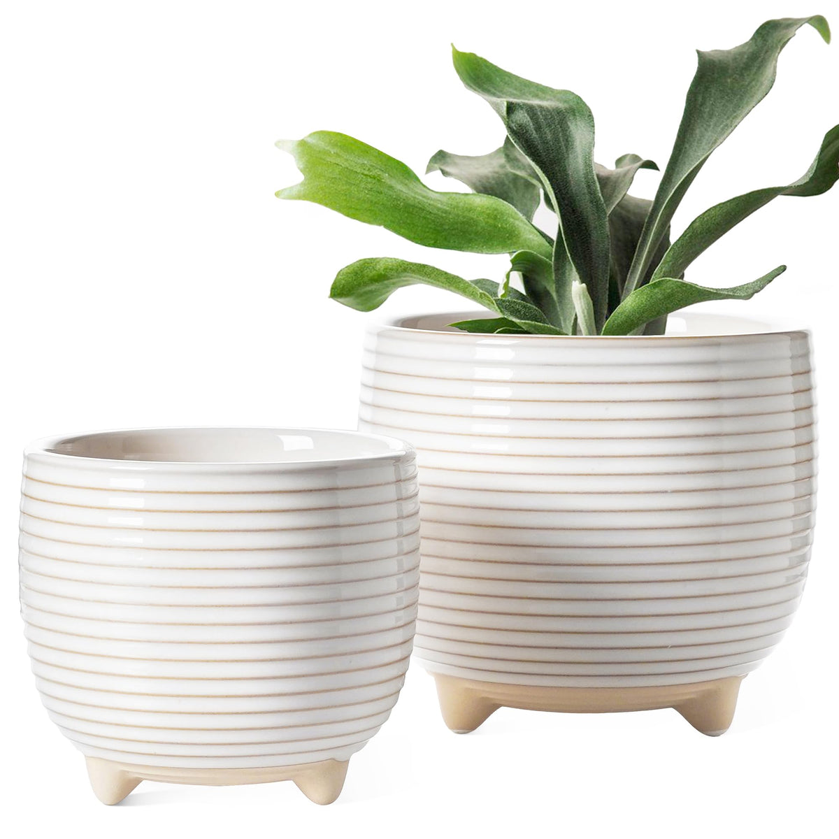 LE TAUCI Ceramic Plant Pots, 5.1 + 6.4 Inch Footed Pots for Plants, Modern Flower Pots for Home and