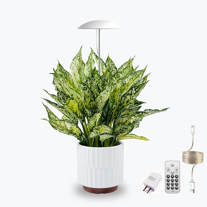 LED Grow Lights for Indoor Plants, Smart USB Small Full Spectrum Plant Lights with Remote, Height