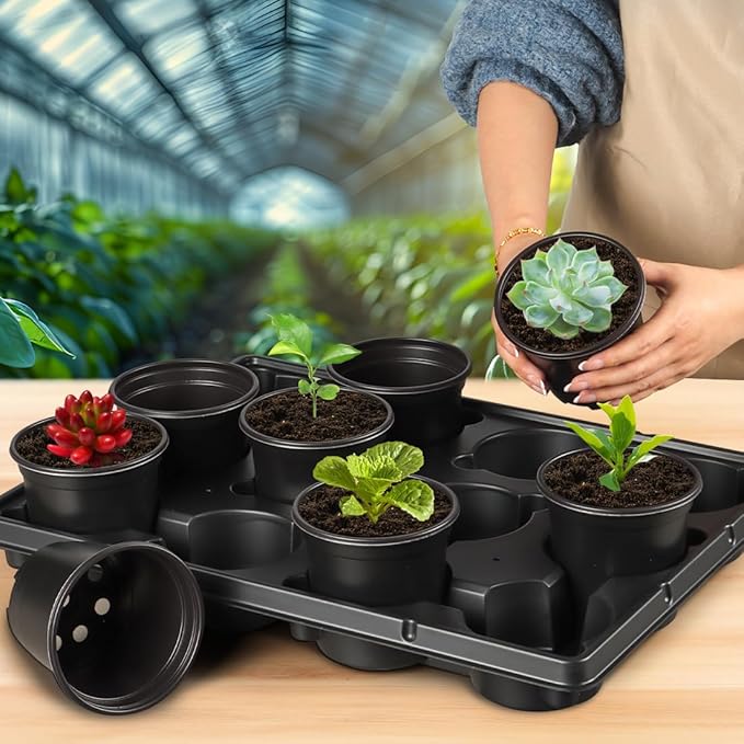 4 Inch Plastic Plant Pots 60 Pcs and 12 Cell Nursery Pots Trays 5 Pcs, Thick Sturdy Seeds Starting