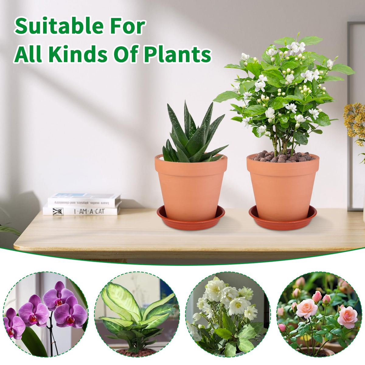 Tuqaumu 6 Pack 6 Inch Terracotta & Clay Pots with Saucer for Plants, Large Terra Cotta Plant Pot