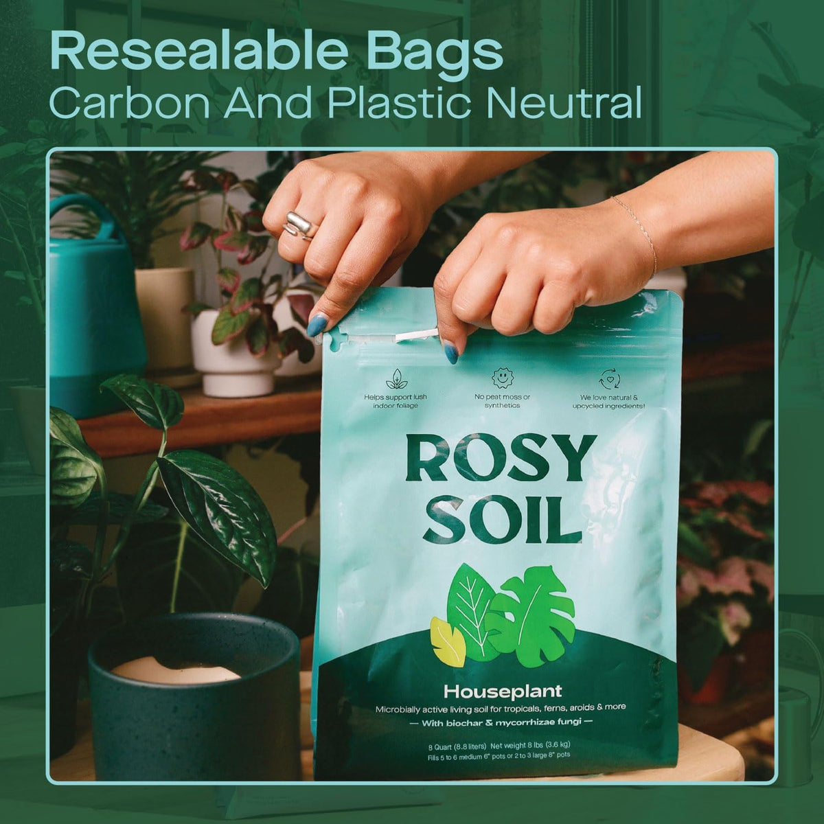 Rosy Soil Indoor Potting Soil for House Plants, 2 x 8 qrt - Organic Potting Soil Mix for Indoor