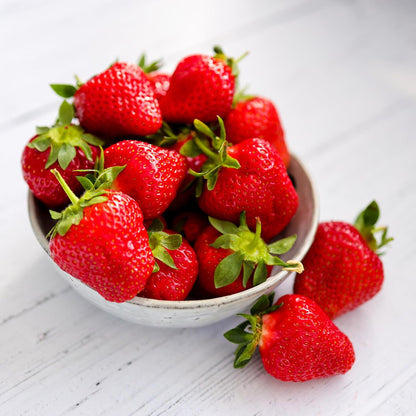 Eversweet Everbearer Strawberry Plants - Fruits Spring to Fall Even Over 90 Degrees! Bare Root