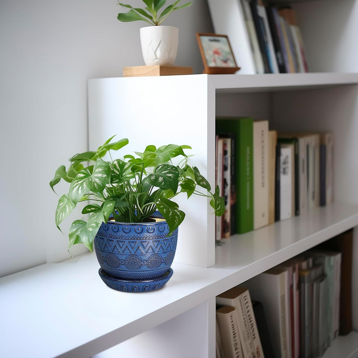 G EPGardening Pot for Plants 5 Inch - Ceramic Planter for Indoor Plants Outdoor, Succulent Pot with
