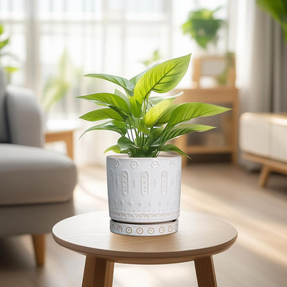 Pot for Plants 6 Inch - Ceramic Planter for Indoor Plants Decorative Plant Pot with Drainage Holes