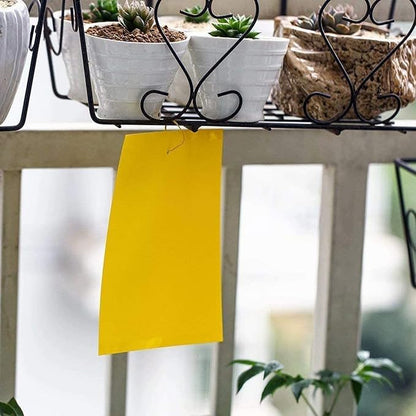 Faicuk 20 Pack Dual Sided Yellow Sticky Traps for Flying Plant Insect Like Fungus Gnats, Aphids