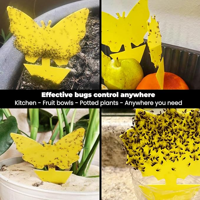 Sticky Insect Traps 40 Pcs - Gnats Fruit Fly Traps for Indoors House - Yellow Double-Sided Sticky