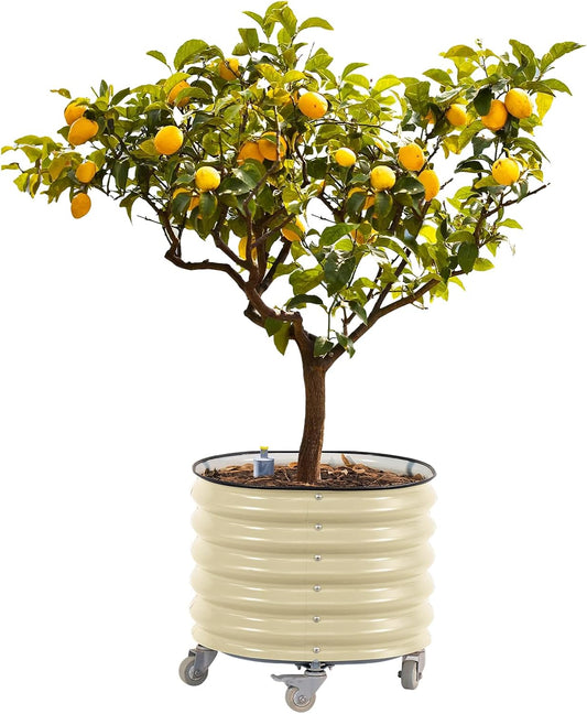 Rolling Metal Citrus Tree Planter, Self-Watering Round Planter Box for Porch Patio & Backyard