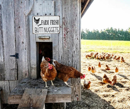 Funny Chicken Gifts Chicken Farm Fresh Butt Nuggets Tin Sign for Home Farm Chicken Coop Farmhouse