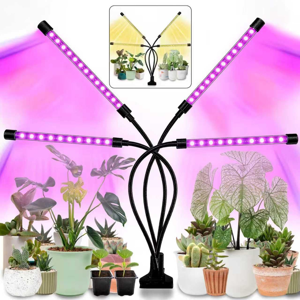LEOTER Grow Light for Indoor Plants - Upgraded Version 80 LED Lamps with Full Spectrum & Red Blue