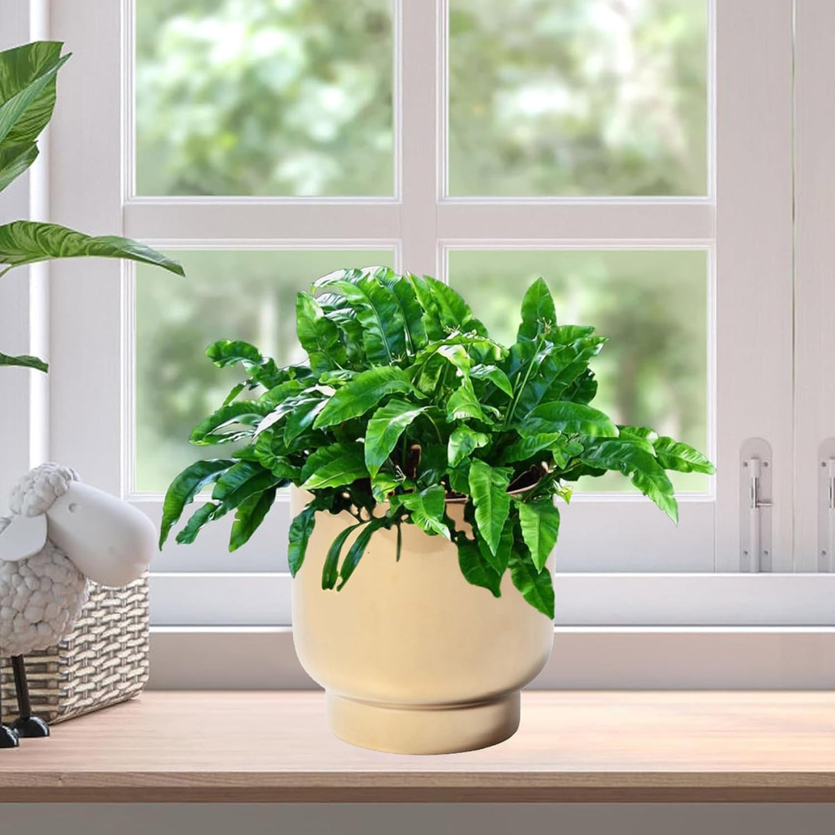 LB Gold Ceramic Planters for Indoor Plants, Succulent Plant Pots Ceramic Flower Pots, Modern Plant