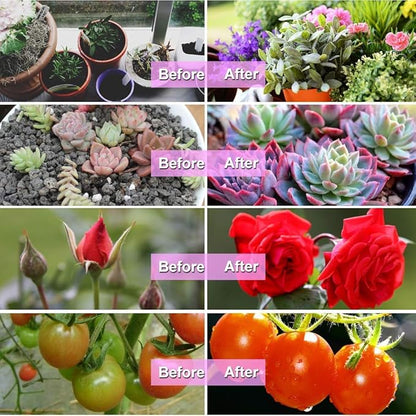 bseah Grow Light Plant Lights for Indoor Plants, Full Spectrum Led Growing Lamp with 3/9/12H Timer