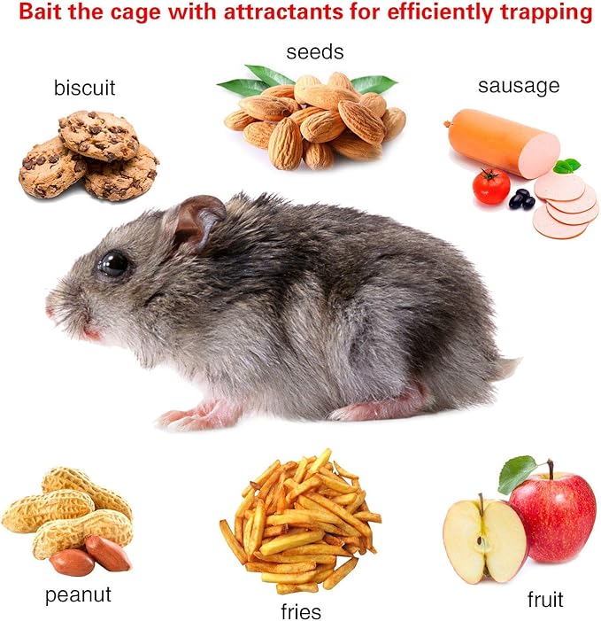Moclever Humane Rat Trap – Live Catch & Release Mouse Trap for Indoor & Outdoor Use | No-Kill Metal