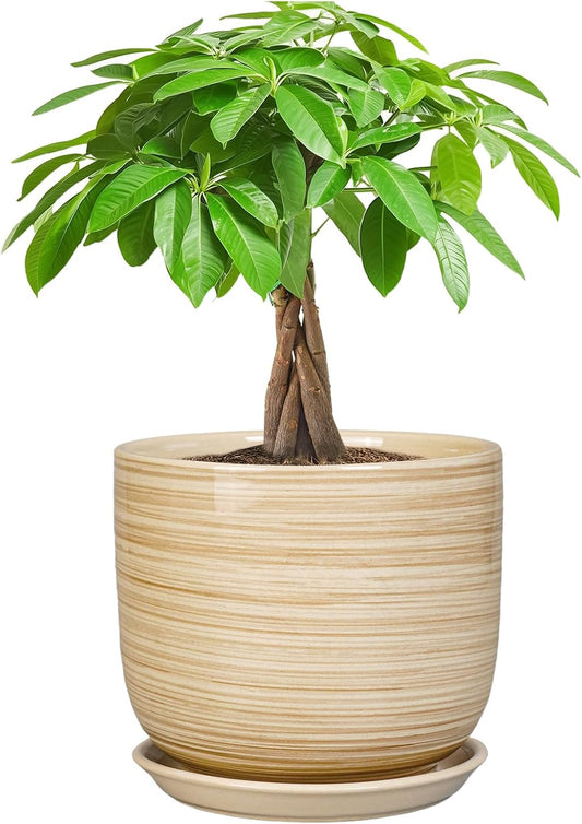 Ceramic Planter for Indoor Plants 7 Inch - Cylinder Modern Indoor Plant Pot with Drainage Hole and