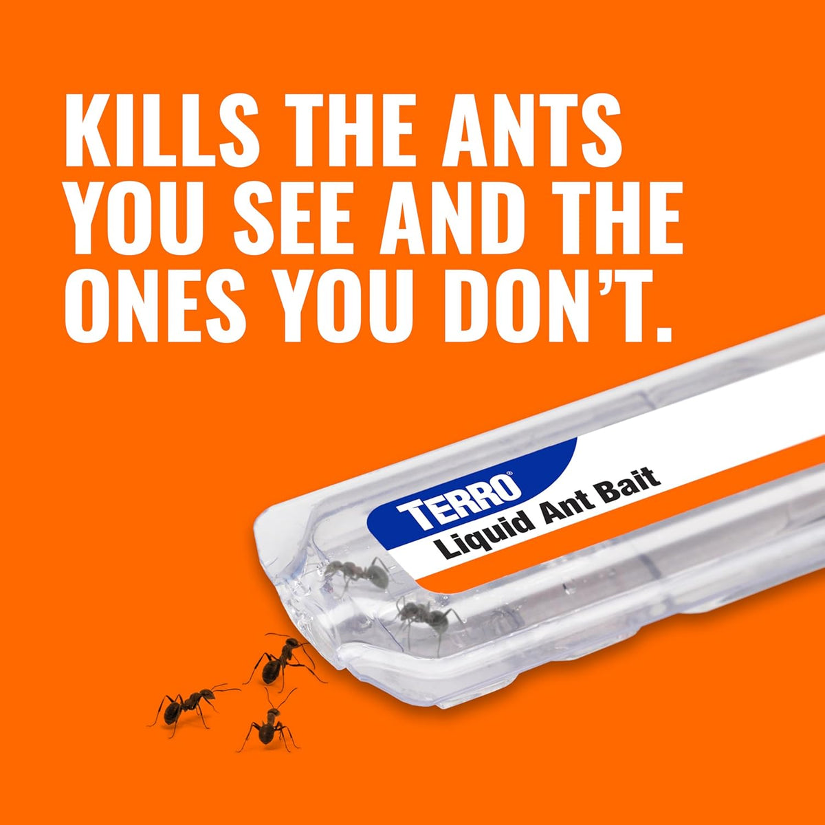 TERRO Ant Killer Bait Stations T300B - Liquid Bait to Eliminate Ants - Bait System - 12 Count