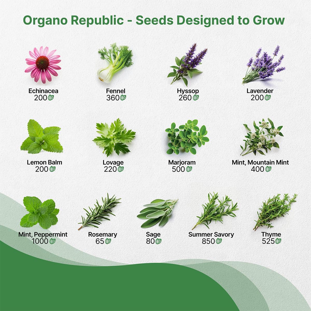 Organo Republic 25 Medicinal & Tea Herb Seeds Variety Pack for Indoor & Outdoors. 10900+ Non-GMO