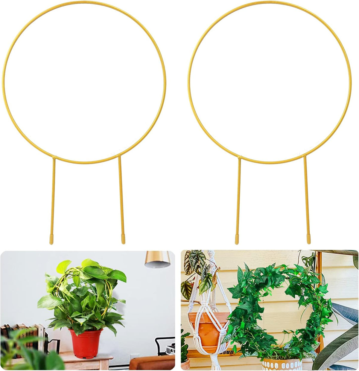 2 Pack Circle Trellis for Climbing Plants Indoor, 15" Gold Small Plant Support Stakes, Flower