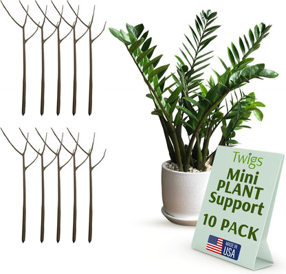 Twigs - Plant Support Stakes for Indoor, Outdoor & Climbing Plants, Gardening Supplies, Garden
