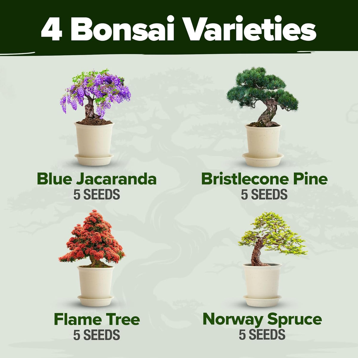 Bonsai Tree Kit 𝗨𝗦𝗔 Gifts for Men & Women - Grow 4 Bonsai Trees - Unique Gardening Crafts for