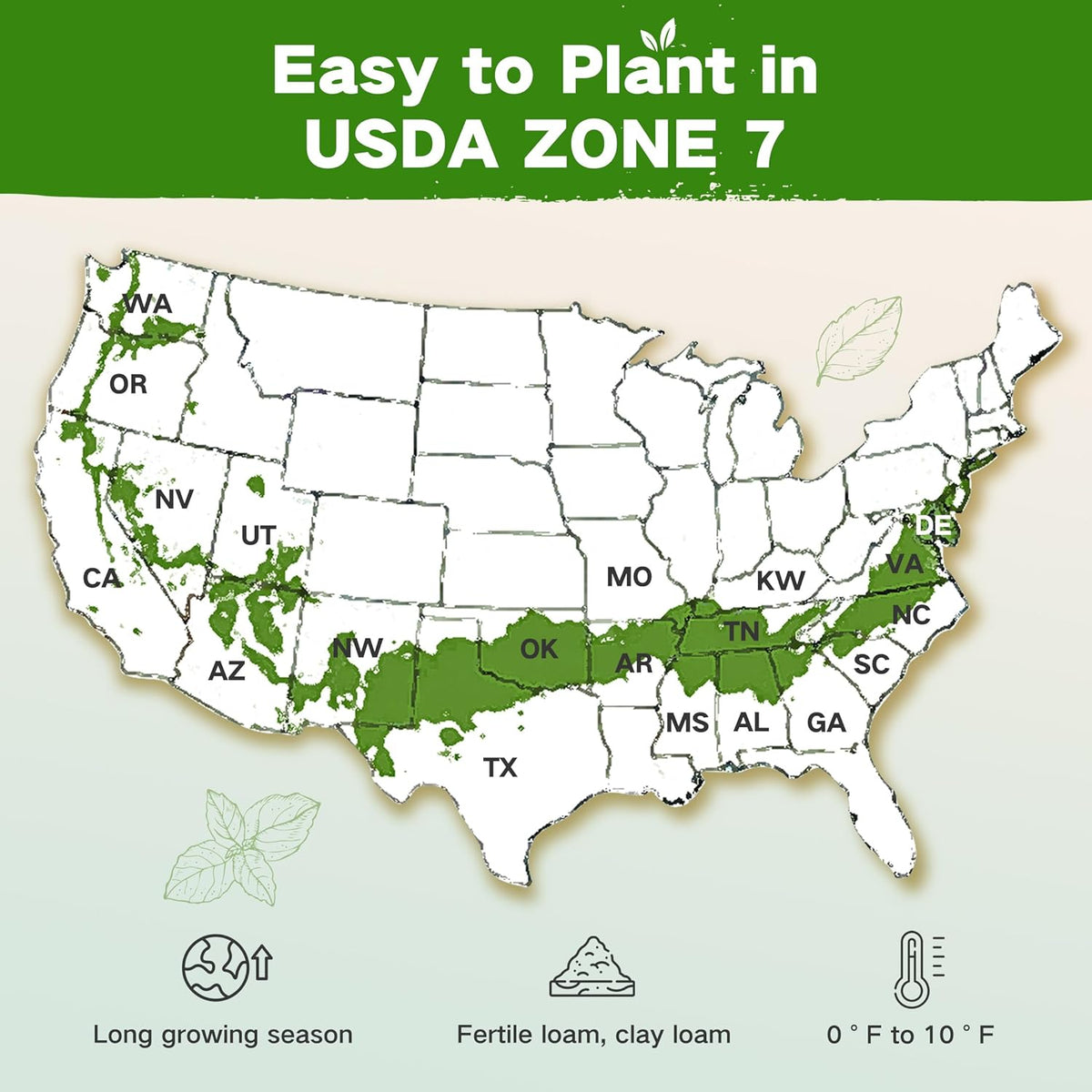 Lush&Dew Year-Round USDA Zone 7 Seed Bank, Gift for Mom Dad, 32 Varieties Non-GMO Heirloom Seeds of