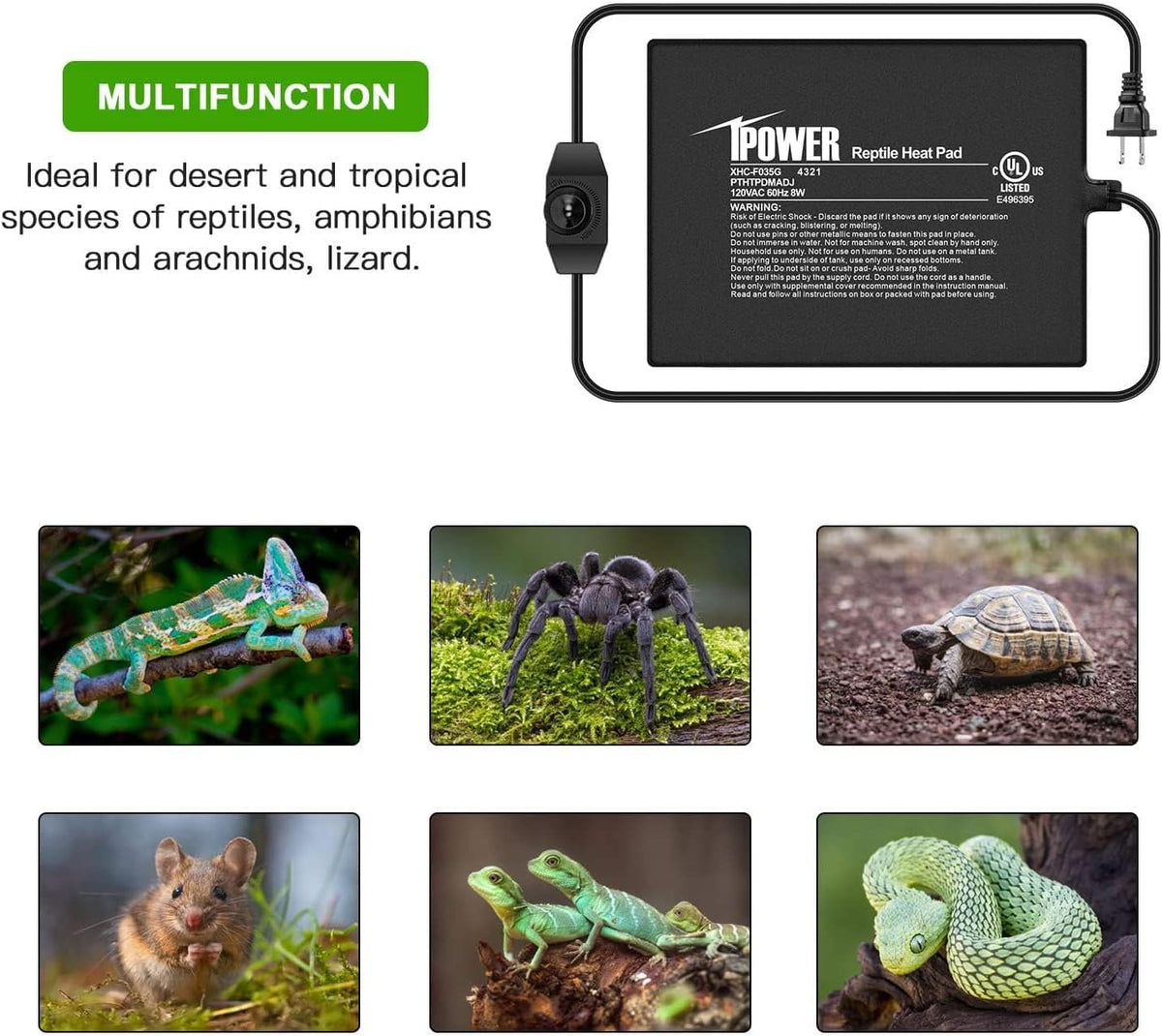 iPower 6 by 8-Inch 8 Watts Reptile Heating Mat with Temperature Controller Under Tank Warmer