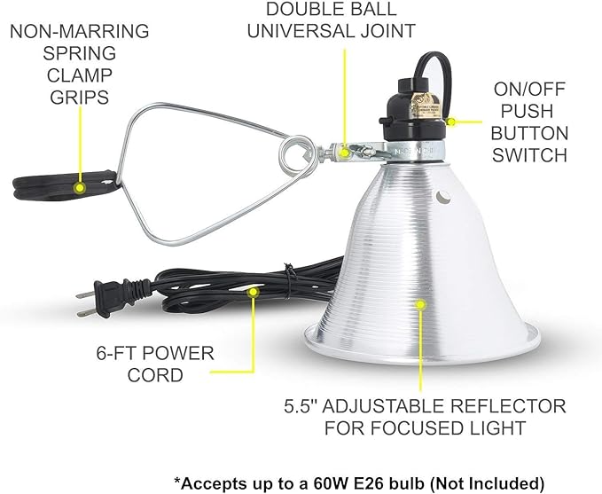 Simple Deluxe Clamp Lamp Light 60 Watt with 5.5 Inch Aluminum Reflector (no Bulb Included), 6 Feet