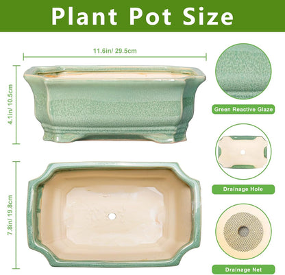 Bonsai Tree Pot 11.6 Inch - Ceramic Succulent Pots, Bonsai Planter for Indoor Outdoor, Decorative