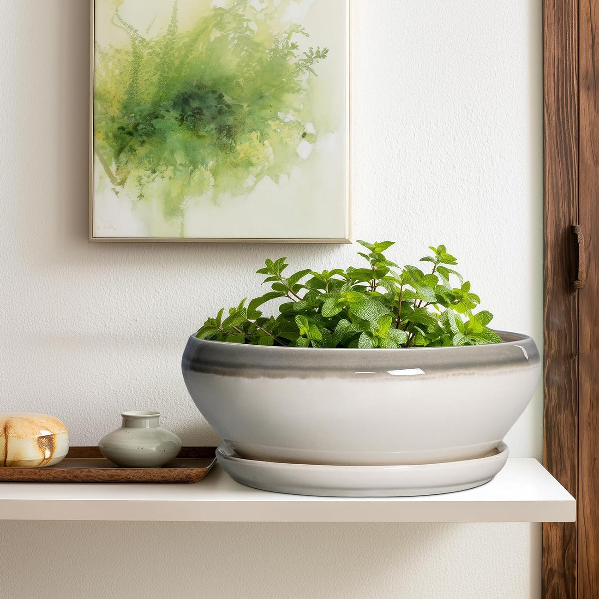 SQOWL Large Succulent Planters - 12 Inch Ceramic Bonsai Pots with Drainage Hole and Saucer, Shallow