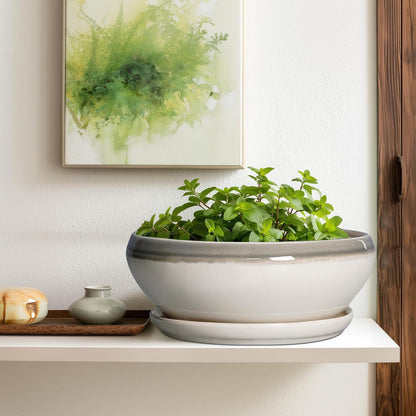 SQOWL Large Succulent Planters - 12 Inch Ceramic Bonsai Pots with Drainage Hole and Saucer, Shallow