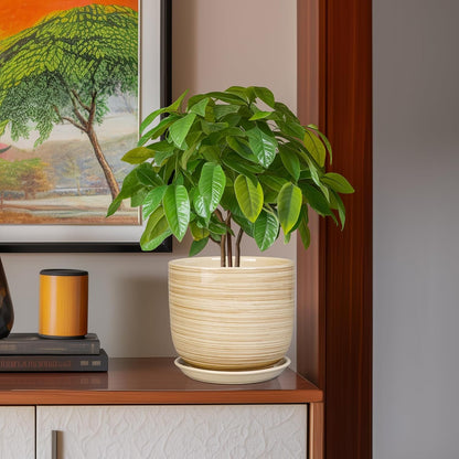 Indoor Plant Pot 8 Inch - Cylinder Modern Ceramic Planter for Indoor Outdoor Plants with Drainage