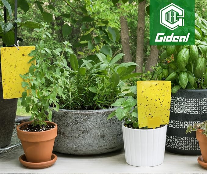 Gideal 50-Pack Dual-Sided Yellow Sticky Traps for Flying Plant Insect Fungus Gnats Whiteflies