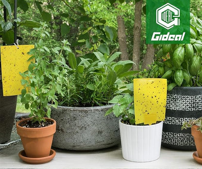 Gideal 50-Pack Dual-Sided Yellow Sticky Traps for Flying Plant Insect Fungus Gnats Whiteflies