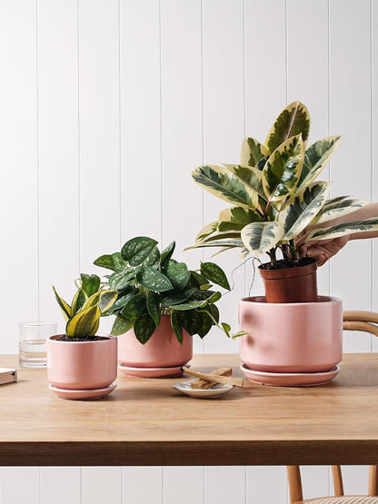 LE TAUCI Ceramic Plant Pots, 4.3+5.3+6.8 inch, Set of 3, Planters with Drainage Hole and Saucer