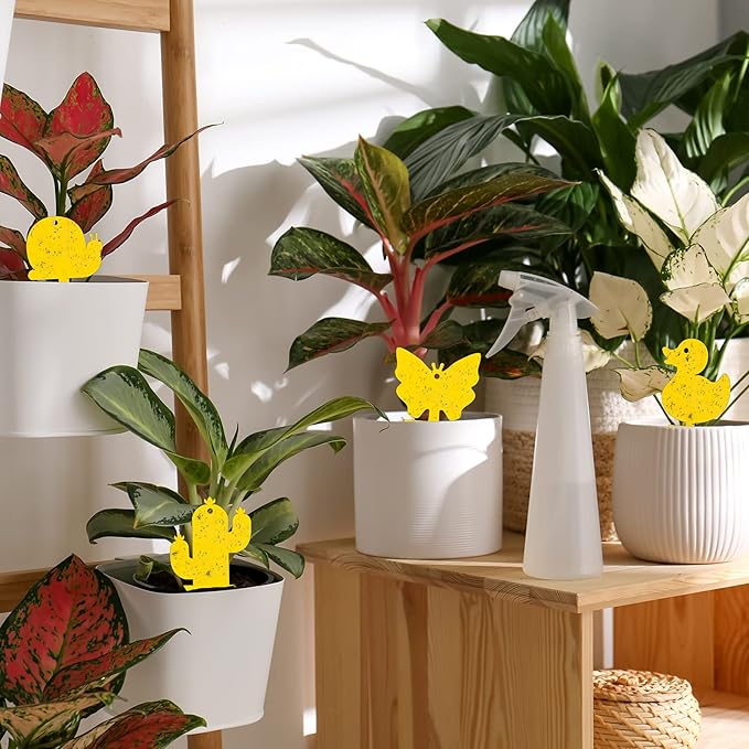 Gideal 48-Pack Dual-Sided Yellow Sticky Traps for Indoor/Outdoor Use, Gnat Trap for Flying Plant