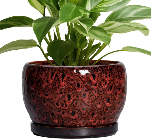 SQOWL Ceramic Plant Pots - 8 inch Planter with Drainage Hole and Tray, Round Ceramic Planter for