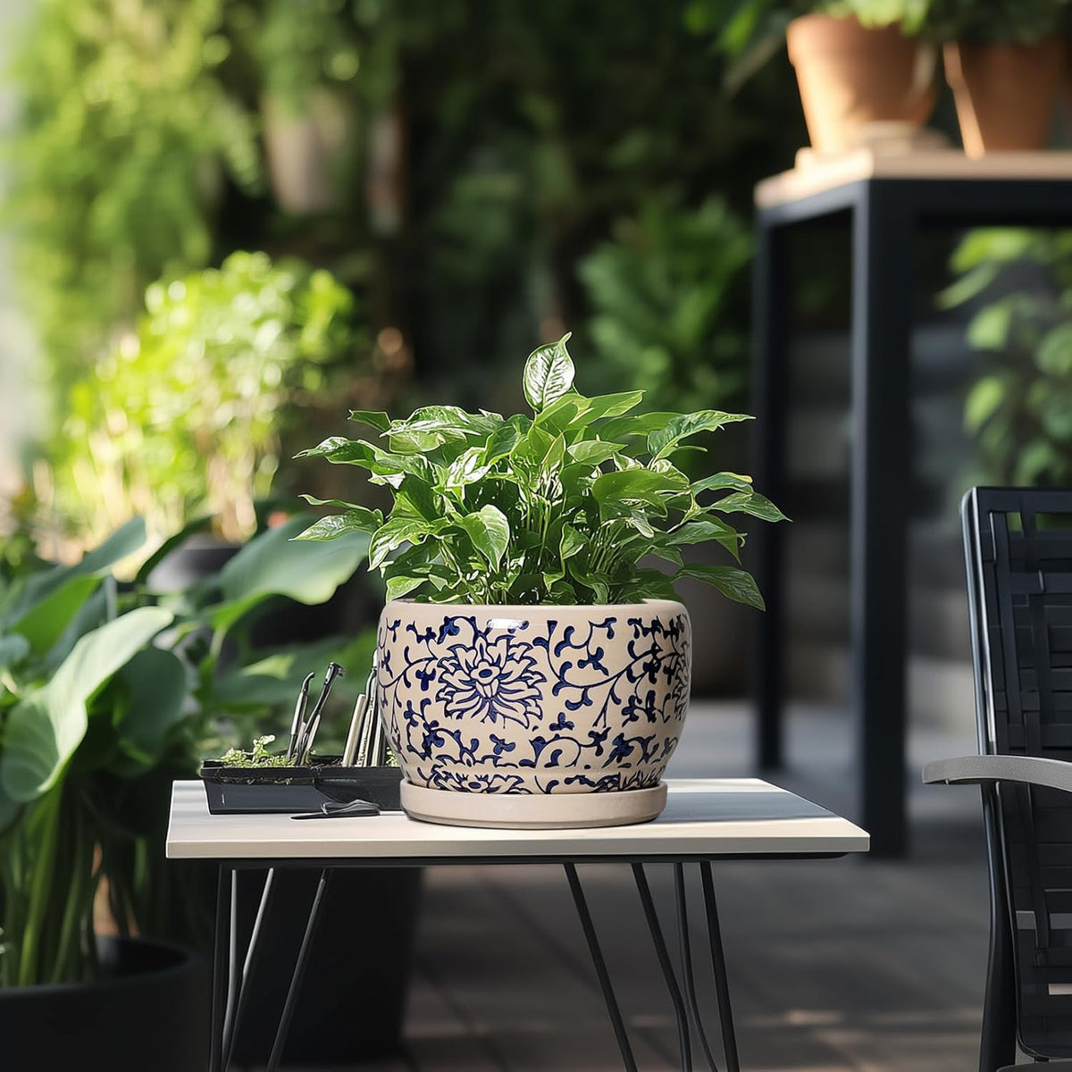 SQOWL Ceramic Planters for Indoor Plants - 8 inch Plant Pot with Drainage Hole and Saucer