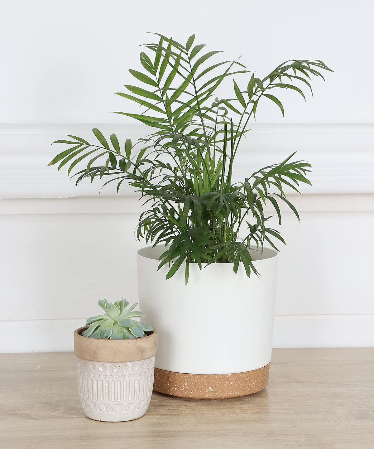 kubvici Indoor Plant Pots Planters 8 inch Plastic Planter with Hole & Saucer Flower Pots Modern