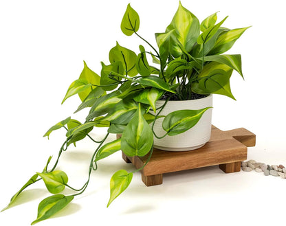 Kurrajong Farmhouse Dark Green Fake pothos | Fake Plant for Shelf Decor | Artificial Trailing Ivy