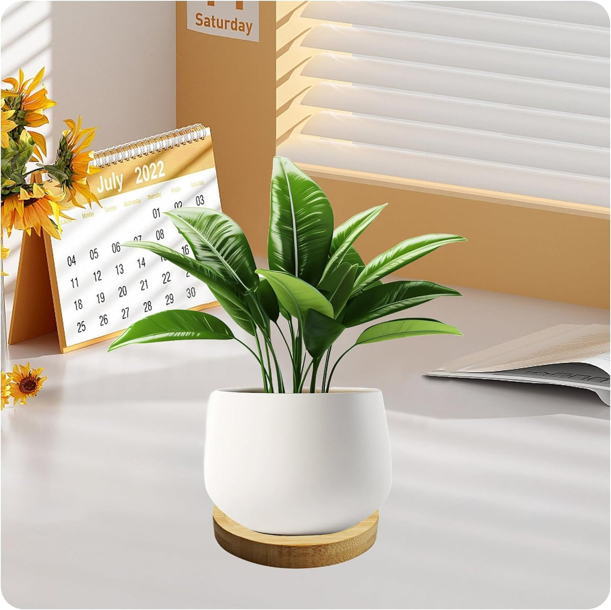 6Pcs 2.5” Bamboo Plant Saucer, Round Pot Tray for Indoor Planters, Succulent Holder Drainage Tray
