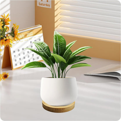 6Pcs 2.5” Bamboo Plant Saucer, Round Pot Tray for Indoor Planters, Succulent Holder Drainage Tray