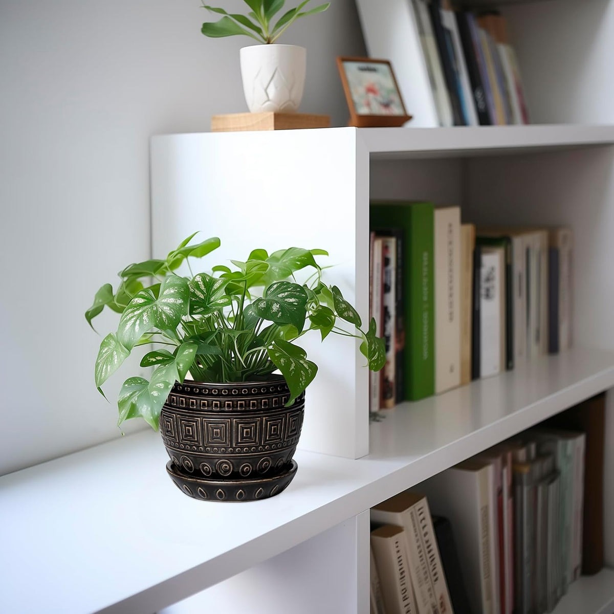 G EPGardening Ceramic Plant Pot - 5.5 Inch Ceramic Planter for Indoor Plants, Boho Round Indoor