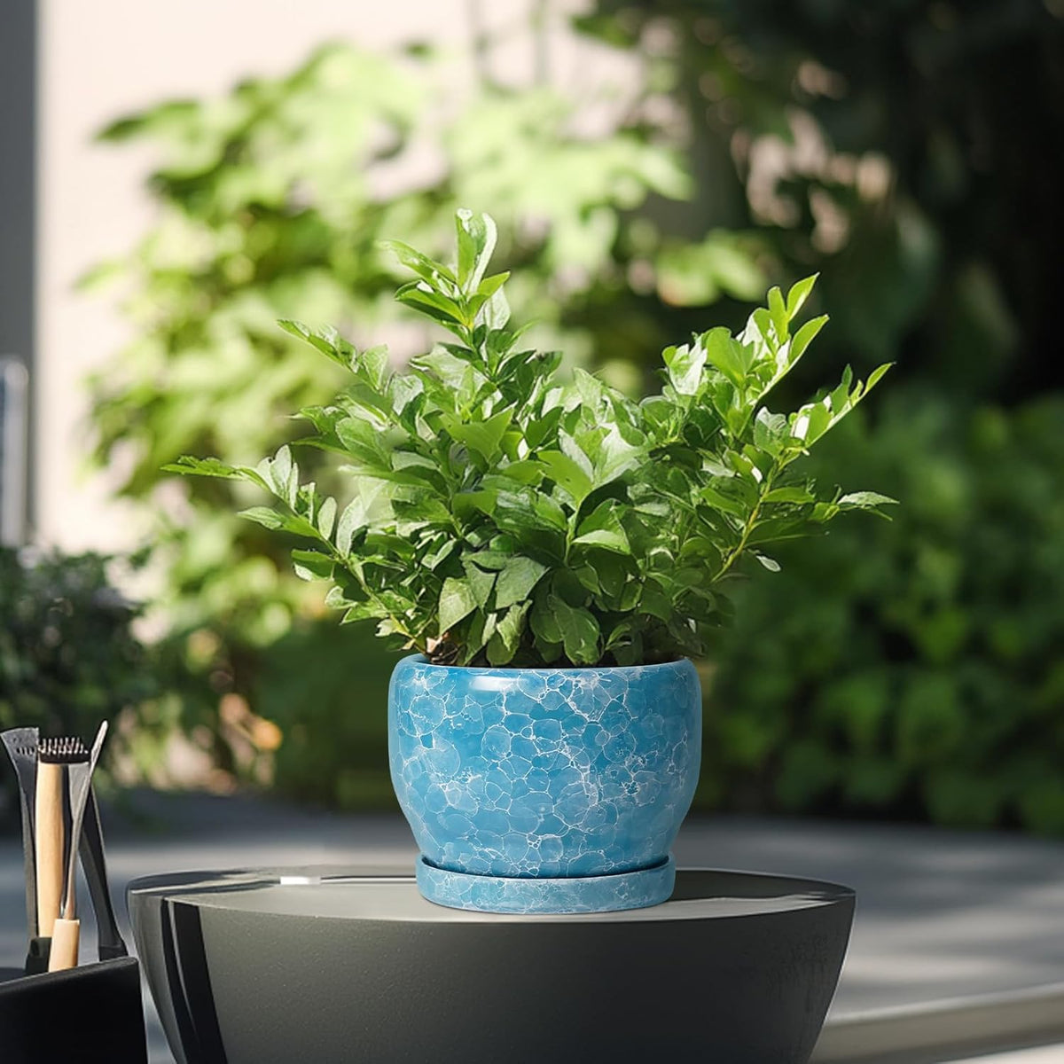 SQOWL 6 Inch Plant Pot - Ceramic Indoor Planter with Drainage Hole and Saucer, Decorative Ceramic