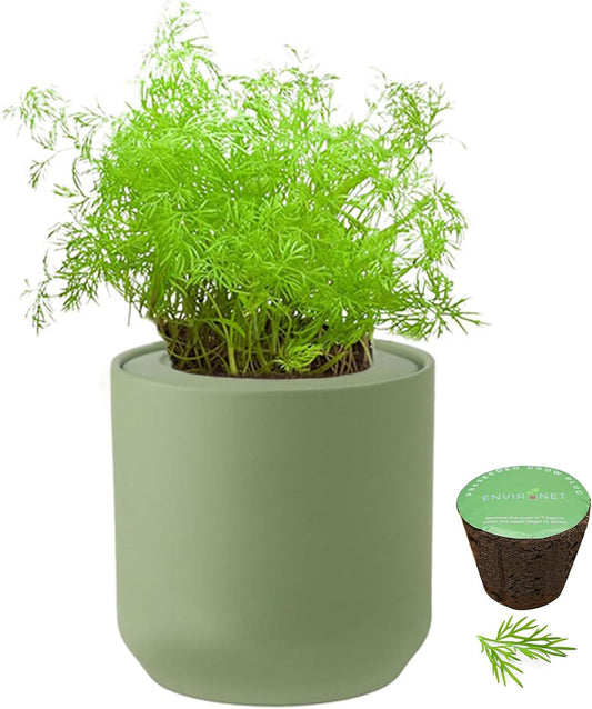 Hydroponic Herb Growing Kit, Self-Watering Kitchen Herb Garden Starter Kit with Green Ceramic Pot